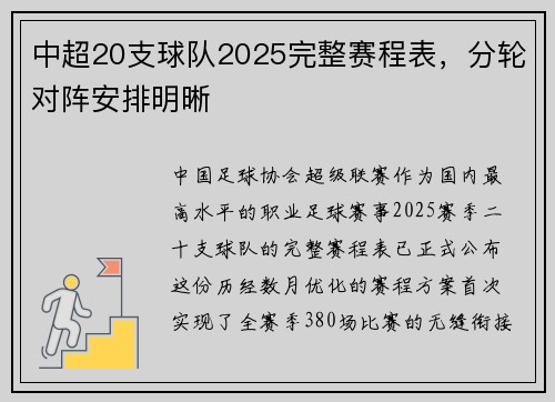 中超20支球队2025完整赛程表，分轮对阵安排明晰