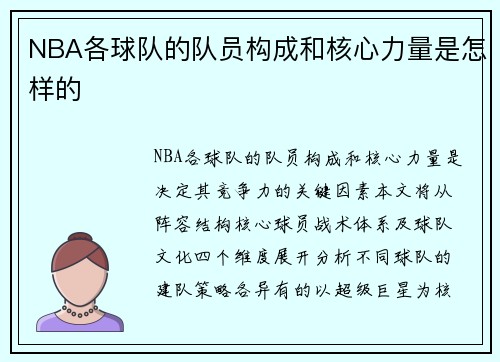 NBA各球队的队员构成和核心力量是怎样的